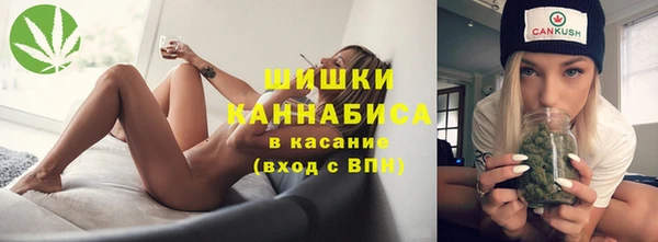 сатива Куйбышев