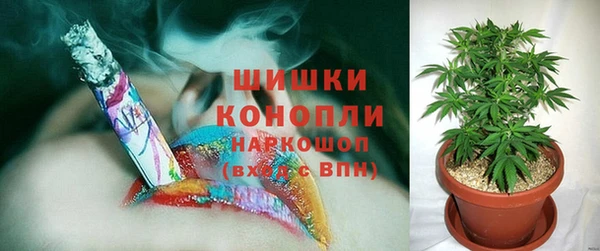 ГАЛЛЮЦИНОГЕННЫЕ ГРИБЫ Краснослободск