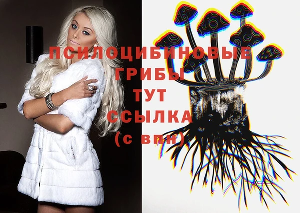 ГАЛЛЮЦИНОГЕННЫЕ ГРИБЫ Краснослободск