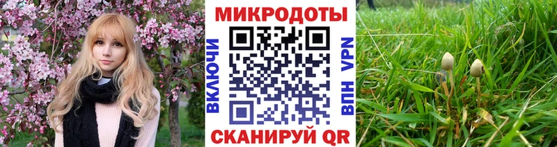 Галлюциногенные грибы Magic Shrooms  купить   Макаров 
